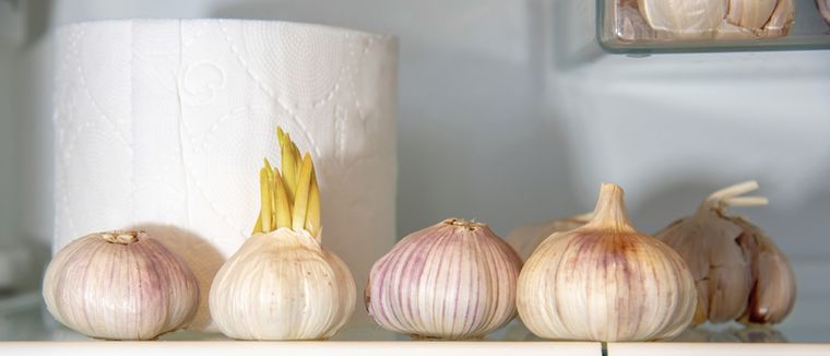 El uso del ajo puede disminuir la cantidad de gérmenes del inodoro Foto: Shutterstock