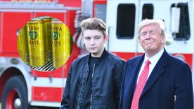 Barron, el hijo de Donald Trump, incursionará en el mercado de la yerba mate de una manera original. Barron, el hijo de Donald Trump, incursionará en el mercado de la yerba mate de una manera original.