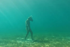 impresionante hallazgo en neuquen: un minotauro abajo del agua