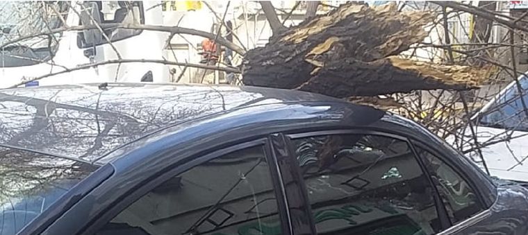 Un vehículo dañado por un tronco, a raíz del Zonda, en calle San Juan, entre Lavalle y Buenos Aires. Foto: Mario Simonovich