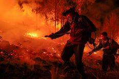 Según el estudio, los incendios crecen con el cambio climático. Foto: Efe Según el estudio, los incendios crecen con el cambio climático. Foto: Efe