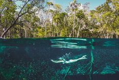 Nadar en cenotes es algo que solo puedes hacer Tulum, una ciudad de la costa caribeña de México, en la Península de Yucatán Foto: Lilian Pang Nadar en cenotes es algo que solo puedes hacer Tulum, una ciudad de la costa caribeña de México, en la Península de Yucatán Foto: Lilian Pang
