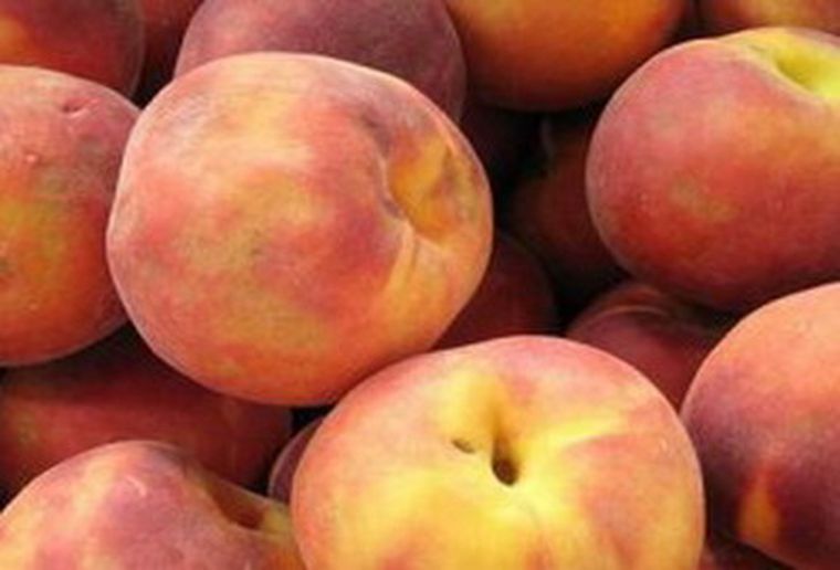 La fábrica de conservas La Colina deberá pagar una multa por irregularidades Foto: Flickr