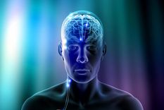 ¿sabias que el cerebro de las mujeres es mas efectivo que el de los hombres?