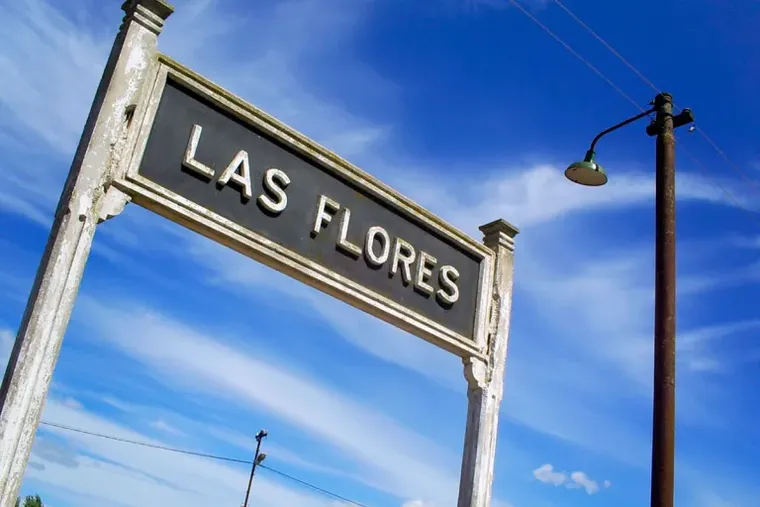 El municipio de Las Flores tendrá un fin de semana de 5 días por un asueto local que se suma a los feriados nacionales. El municipio de Las Flores tendrá un fin de semana de 5 días por un asueto local que se suma a los feriados nacionales.