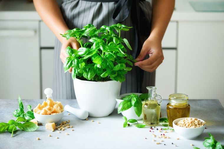 Por sus propiedades aromáticas la menta es un potente repelente natural Foto: shuterstock