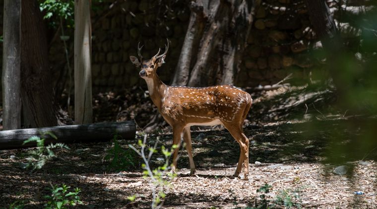 Foto: Gobierno de Mendoza