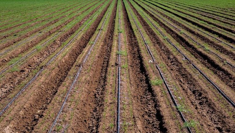 Cuantos más datos tenemos en el proceso de riego, mejores son los resultados. Cuantos más datos tenemos en el proceso de riego, mejores son los resultados.