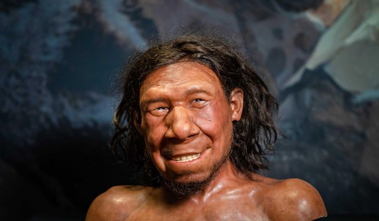 Los neandertales, nuestros hermanos. Foto: Efe.