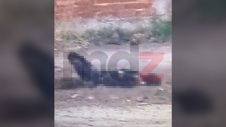 La foto que tomó el hombre que halló el cadáver y fue publicada por MDZ. La foto que tomó el hombre que halló el cadáver y fue publicada por MDZ.
