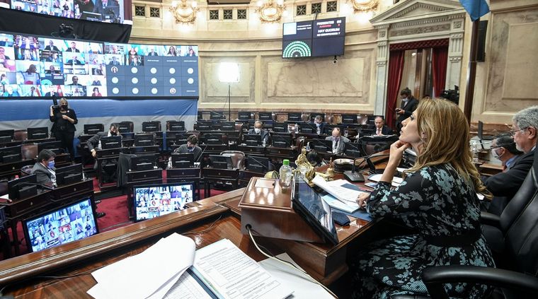 Fue intenso el debate en el Senado por las restricciones. Foto: Prensa Senado