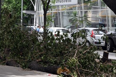 MDZol | A dos semanas del feroz viento Zonda, los trabajos de limpieza continúan y se prevé que lo hagan en los próximos días. Foto: ALF PONCE MERCADO / MDZ