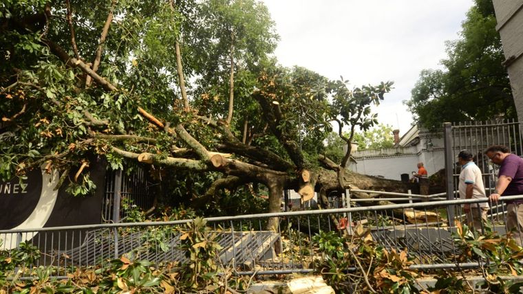 El hecho ocurrió en el cruce de las calles Manuela Pedraza y O’Higgins.&nbsp;