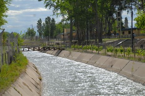 La víctima fue hallada en un canal de riego, en Rivadavia. La víctima fue hallada en un canal de riego, en Rivadavia.