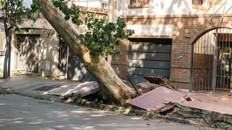 El Zonda ha causado destrozos en reiteradas ocasiones Foto: Santiago Tagua/MDZ