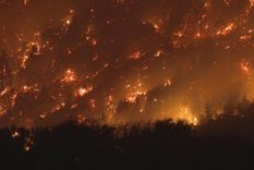 alberto fernandez se expreso acerca de los incendios en el sur
