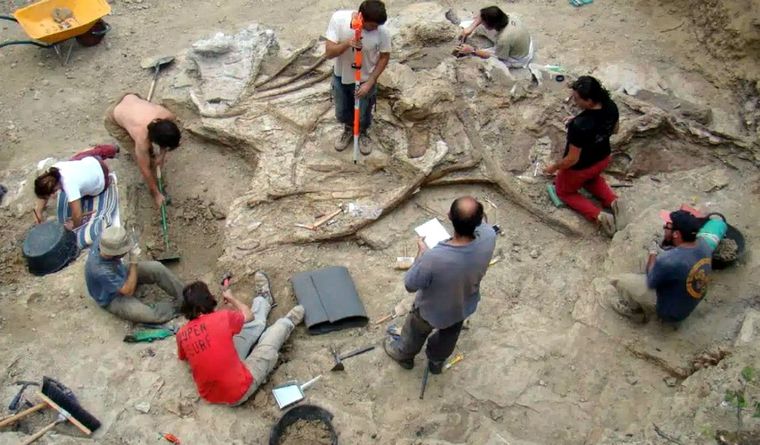 La paleontología ofrece un nuevo e importante hallazgo. Foto: Efe.