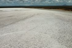 El proyecto de exploración minera se desarrolla en los departamentos de San Rafael y Malargüe.