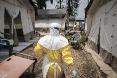 tras 40 anos desde su descubrimiento, un medico da por derrotado al ebola