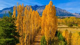 El pueblo de El Bolsón se ubica en un valle rodeado por montañas y bosques patagónicos. El pueblo de El Bolsón se ubica en un valle rodeado por montañas y bosques patagónicos.