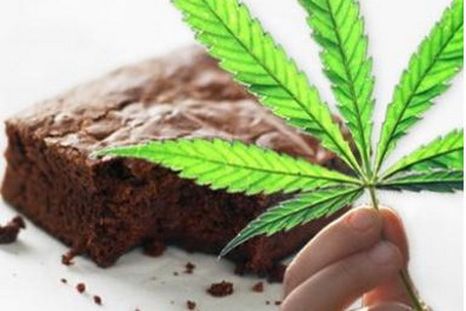 llevaron brownies con marihuana para toda la oficina llevaron brownies con marihuana para toda la oficina