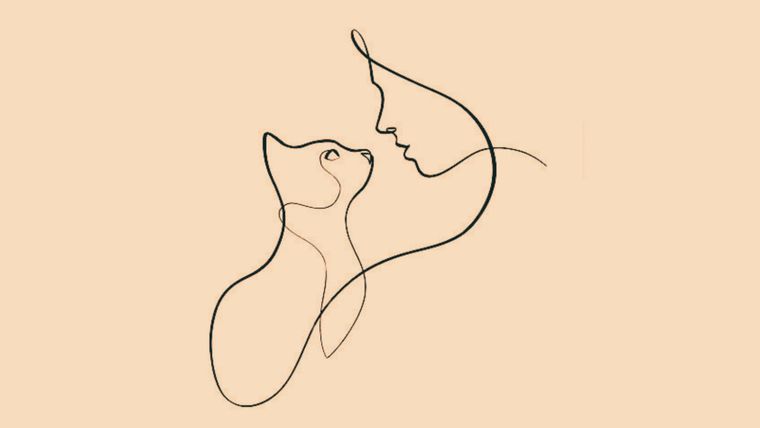 Test de personalidad