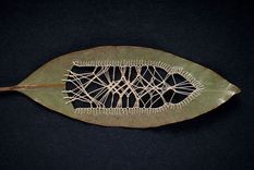 el arte del bordado... en las hojas