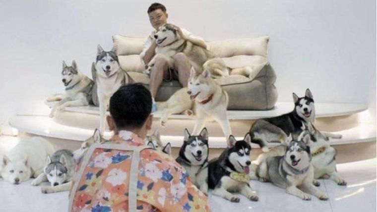 Hao fotografía a los hombres con perros hermosos y dice que las imágenes atraerán a las mujeres.