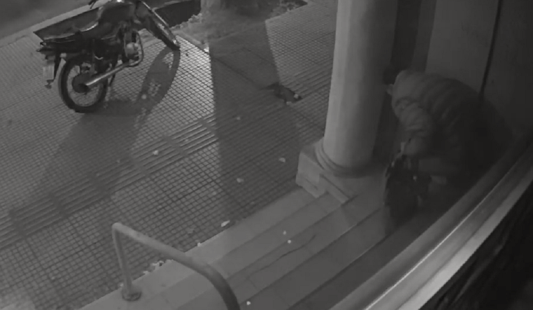 El defecador serial captado por los videos Foto: Captura de video