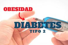 diabetes y obesidad: las epidemias gemelas diabetes y obesidad: las epidemias gemelas