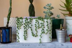 Ideal para decorar. Foto: Fuente: Shutterstock