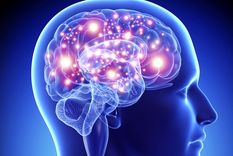 #libros: el cerebro en el siglo xxi