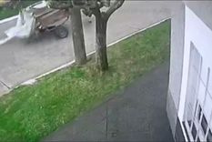 La insólita persecución se registró en la ciudad bonaerense de Quilmes.