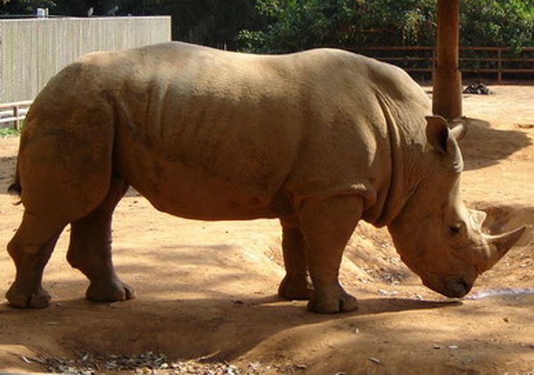 Padece una dolencia que afecta su sistema digestivo.