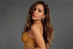 Lunay enloqueció al ver la foto de Anitta en minifalda y con el busto al aire