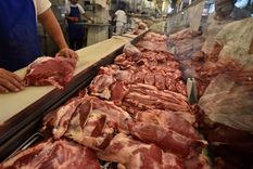 Más de diez cortes de carne estarán incluidos en el acuerdo de precios accesibles entre el Gobierno y los frigoríficos