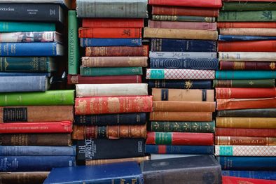 MDZol | Foto: Unsplash