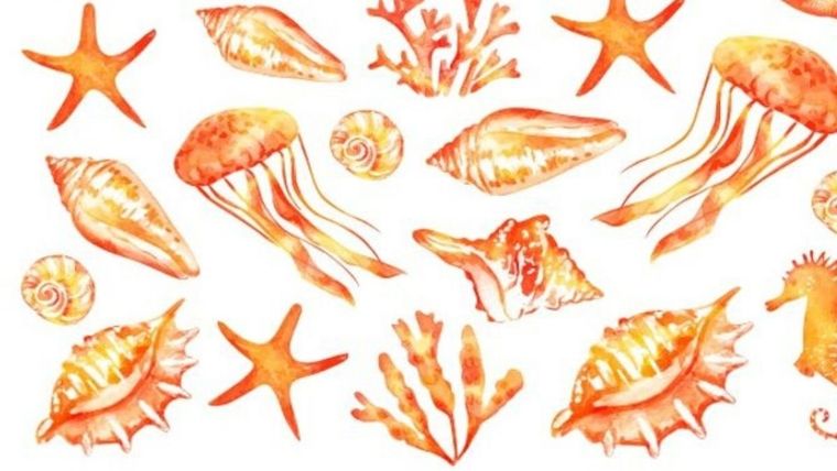 Este acertijo visual no solo despierta el ingenio, sino también las ganas de comer algo dulce Foto: Archivo MDZ