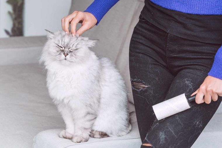 Con este truco tus prendas de vestir quedarán impecables y sin pelos Foto: Shutterstock