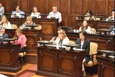 maria jose sanz: la campora se llevo puesto a emir felix