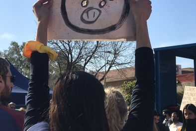 MDZol | 1099834.jpeg