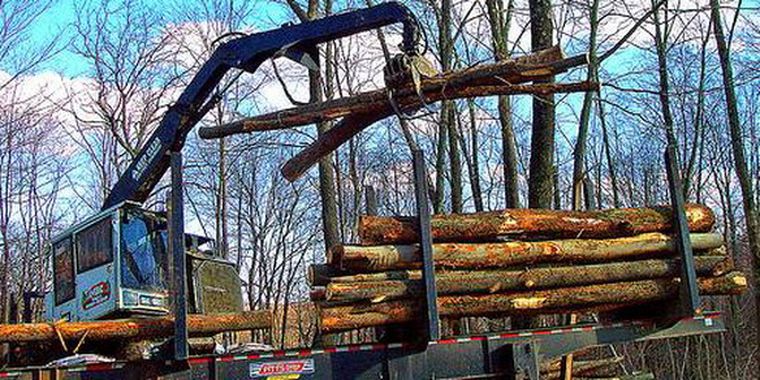 Cargando troncos sobre un camión. Foto: Flickr