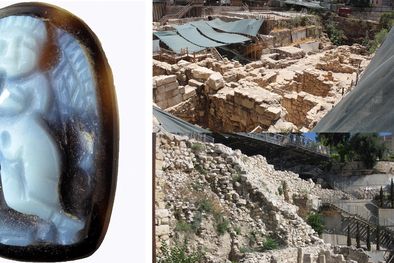 MDZol | Foto: livescience.com