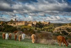 Este pueblo se esconde a 130 kilómetros de Madrid Foto: Los pueblos mas bonitos de España