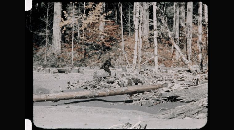 Foto: thedavisreport.files.wordpress.com