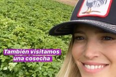 el fin de semana familiar y de turista de luisana lopilato el fin de semana familiar y de turista de luisana lopilato
