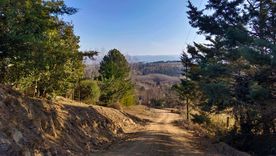 La primavera realza la belleza de los pueblos cordobeses, donde naturaleza y tradición se combinan en cada escapada.