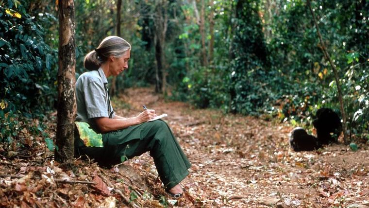 Jane Goodall deja un potente mensaje en esta nueva propuesta de Netflix.