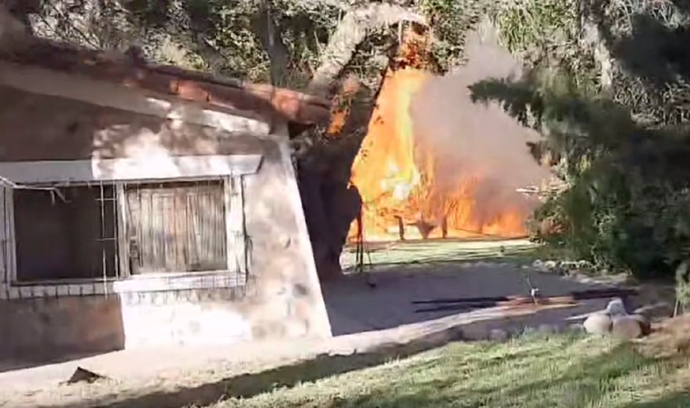 Foto: Captura de pantalla