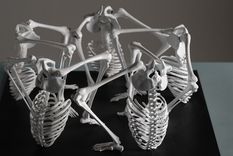 nuestros huesos hechos esculturas